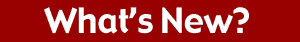 [What's New?]